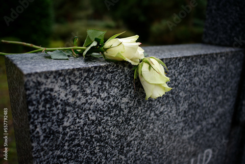 two white roses lying on a marble tombstone photo