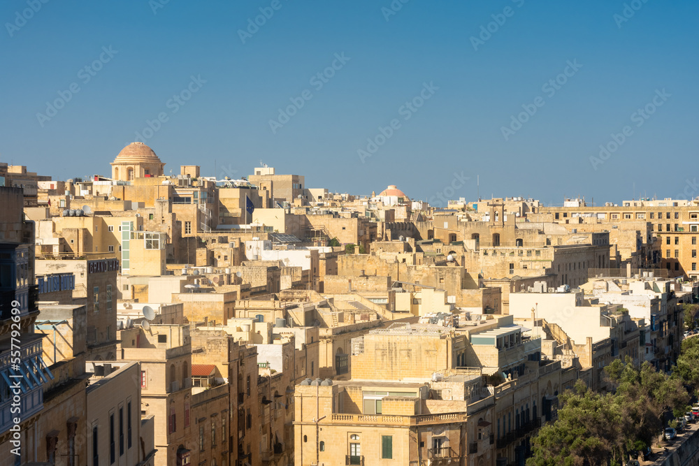 Cityscape of Valletta from the  upper gardens in Malta