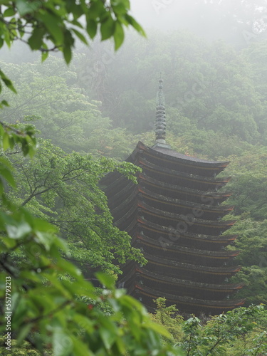 霧のかかった森の中に佇む塔