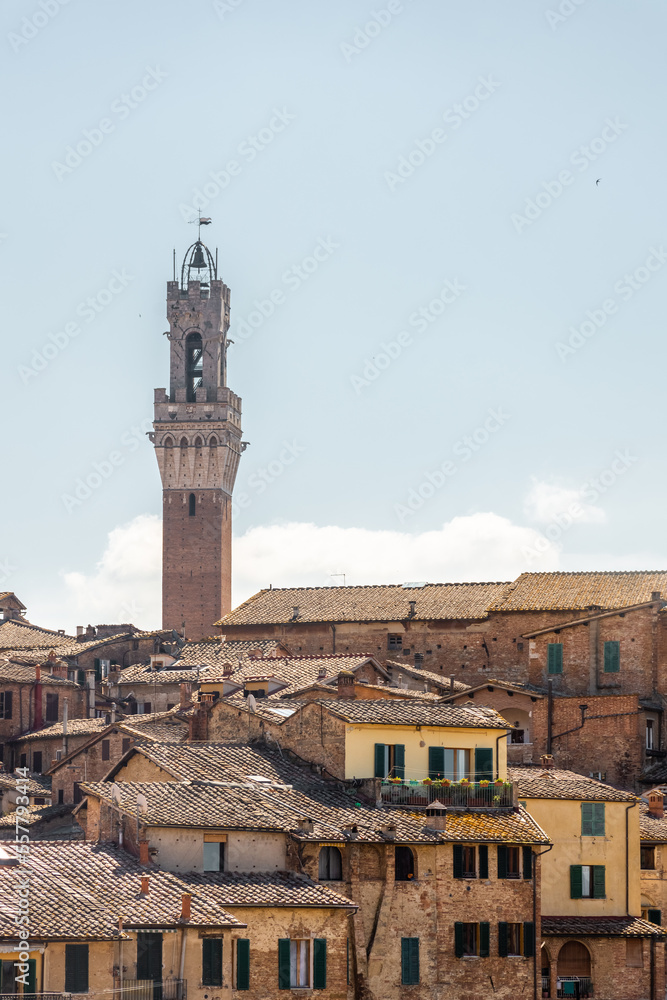 Naklejka premium Cityscape of Siena historic center with the Town hall in Tuscany, Italy