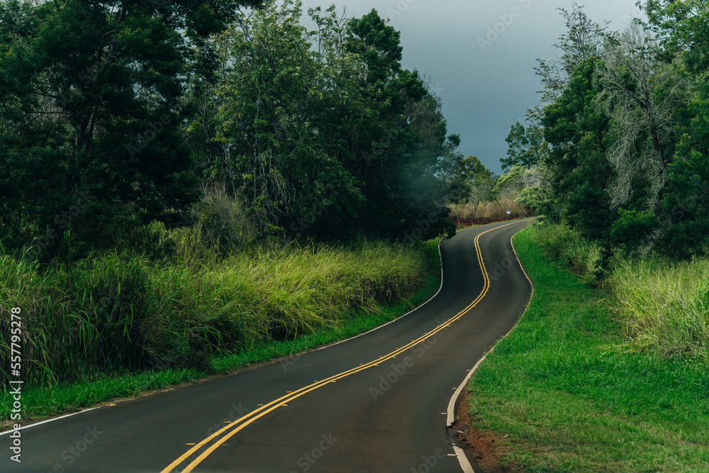 Winding fog road of the Waimea Canyon Drive on Kauai island, Hawaii