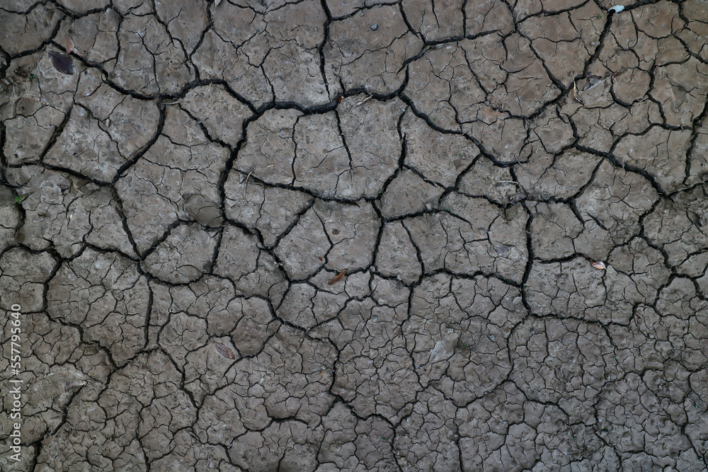 cracks on the ground desert texture background earth climate ecology cracks on the ground desert texture background earth climate ecology