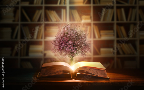 Open magic book with growing pink tree on table in dark library