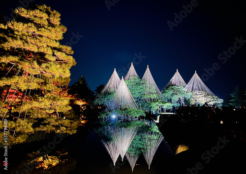 兼六園ライトアップ2