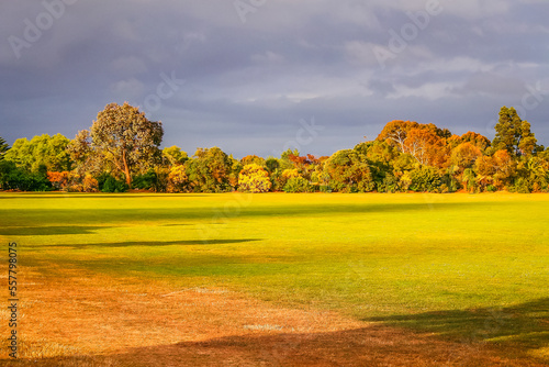 Public park in Auckland, New zealand North island at golden autumn sunset