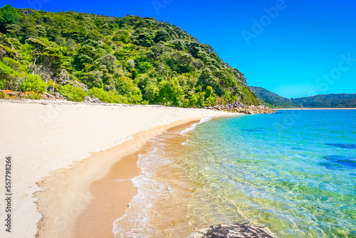 Idyllic beach in abel tasman national park, New Zealand South Island