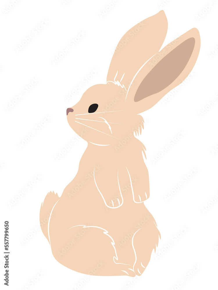 Fototapeta premium Cute lovely pretty cream color bunny, rabbit or hare. It's on the side and it's looking back. Easter symbol or mascot. Vector Ilustration isolated on white background.