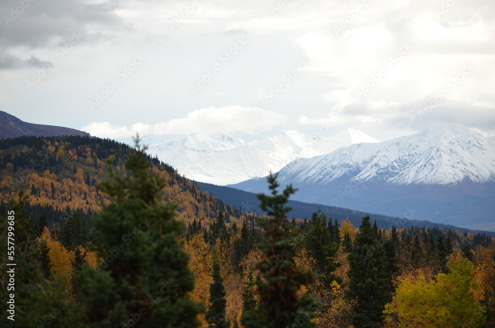 Obraz premium autumn in the mountains
