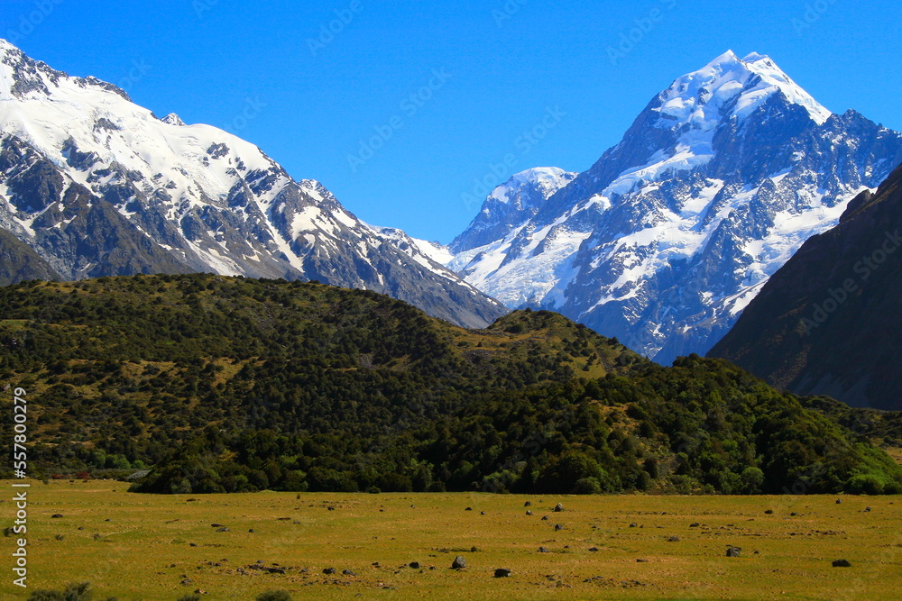 Hooker Valley meadows and Mt Cook massif, South Island of New Zealand