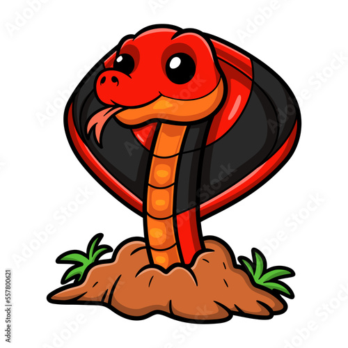 Cute red spitting cobra cartoon