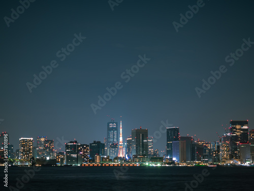 有明から見た東京都心の夜景