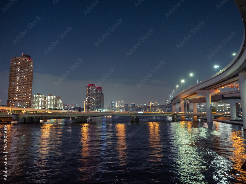 Naklejka premium レインボーブリッジの夜景