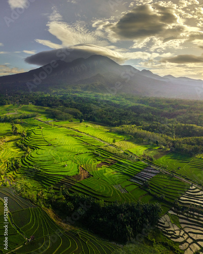 Beautiful morning view of Indonesia. Panoramic view of rice fields and mountains when rice is green