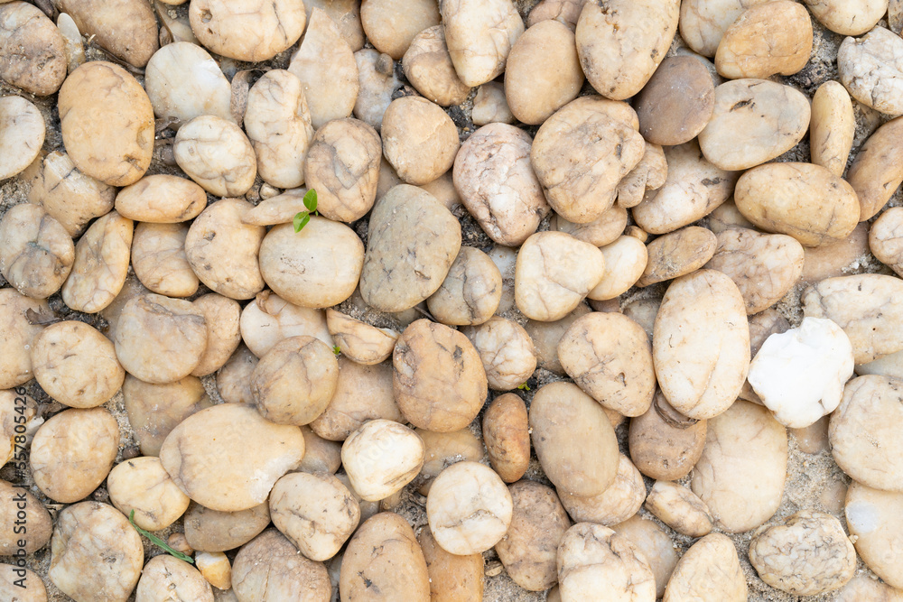 abstract background with round pebble stones. Vacation holiday recreation on beach concept. Stones or Gravel for building, floor or wall. abstract background with round pebble stones. Vacation holiday recreation on beach concept. Stones or Gravel for building, floor or wall.