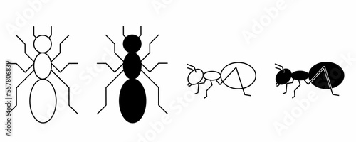 top view and side view ant icon set isolated on white background
