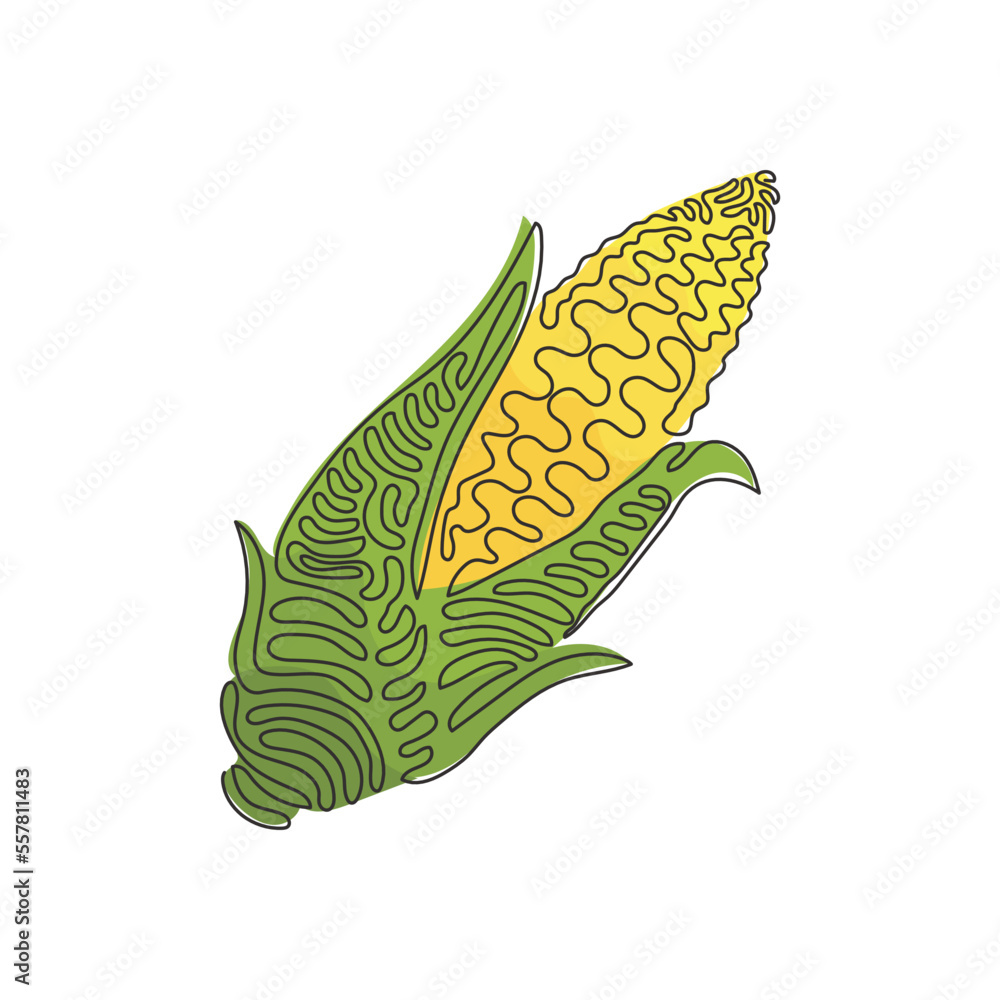 Single continuous line drawing husked cobs of sweet corn. Fresh vegetable with high sugar content. Immature harvested. Swirl curl style. Dynamic one line draw graphic design vector illustration Single continuous line drawing husked cobs of sweet corn. Fresh vegetable with high sugar content. Immature harvested. Swirl curl style. Dynamic one line draw graphic design vector illustration
