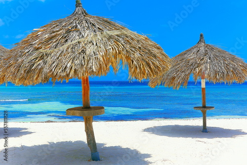 Fototapeta Naklejka Na Ścianę i Meble -  Palapa in secluded beach and turquoise caribbean sea, Aurba, Antilles