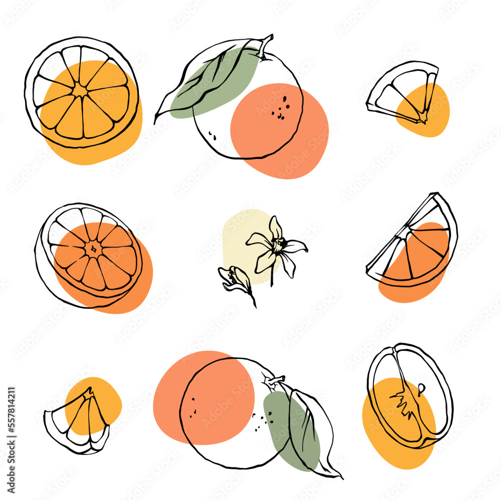 Oranges, slices and leaves black outline illustration set with abstract color spots.