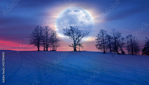 Beautiful winter landscape with dead trees and shadows on the snow and Super full moon - Baikal lake  Siberia  Elements of this image furnished by NASA  