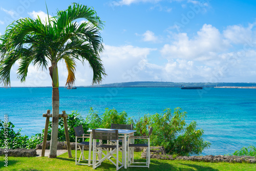 Emerald blue sea and palm trees on Miyako Island, Okinawa, Japan photo