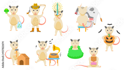 Fototapeta Naklejka Na Ścianę i Meble -  Big Set Abstract Collection Flat Cartoon Different Animal Opossums Vector Design Style Elements Fauna Wildlife