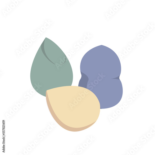 beauty blender vector