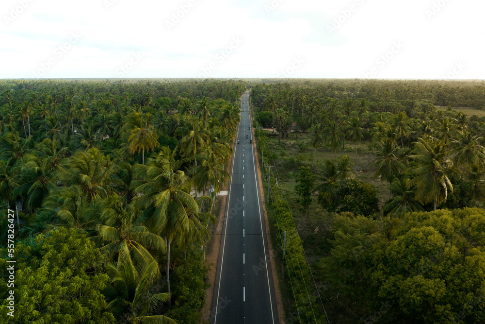Beautiful drone shots of Point Peddro to Kodikakamam road, Jaffna, Northern Province, Sri Lanka.