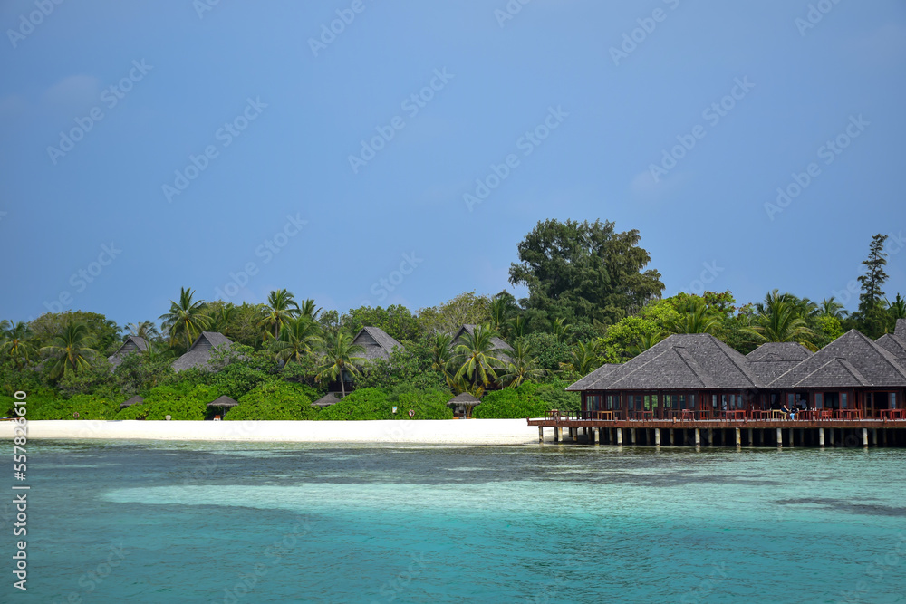 Maldives island landscape. Water, sand and greenery. Lush, tropical, vegetation, palm trees and bushes Shoreline with sandy beach. Wooden pathway pier. Walkway deck to private villas. Floating house