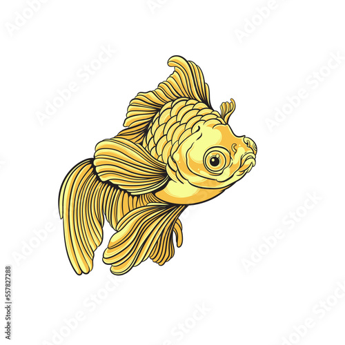 fish isolated on white background