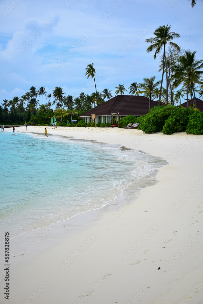 Maldives island landscape. Water, sand and greenery. Lush, tropical, vegetation, palm trees and bushes. Shoreline with sandy beach. Wooden pathway pier. Walkway deck to private villas. Floating house
