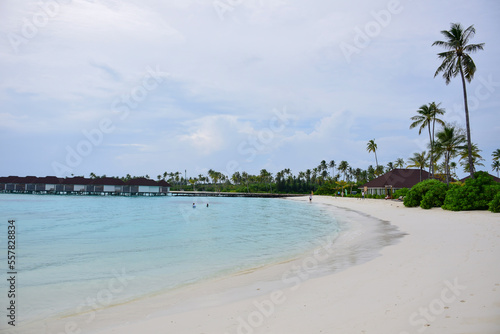 Maldives island landscape. Water, sand and greenery. Lush, tropical, vegetation, palm trees and bushes. Shoreline with sandy beach. Wooden pathway pier. Walkway deck to private villas. Floating house 