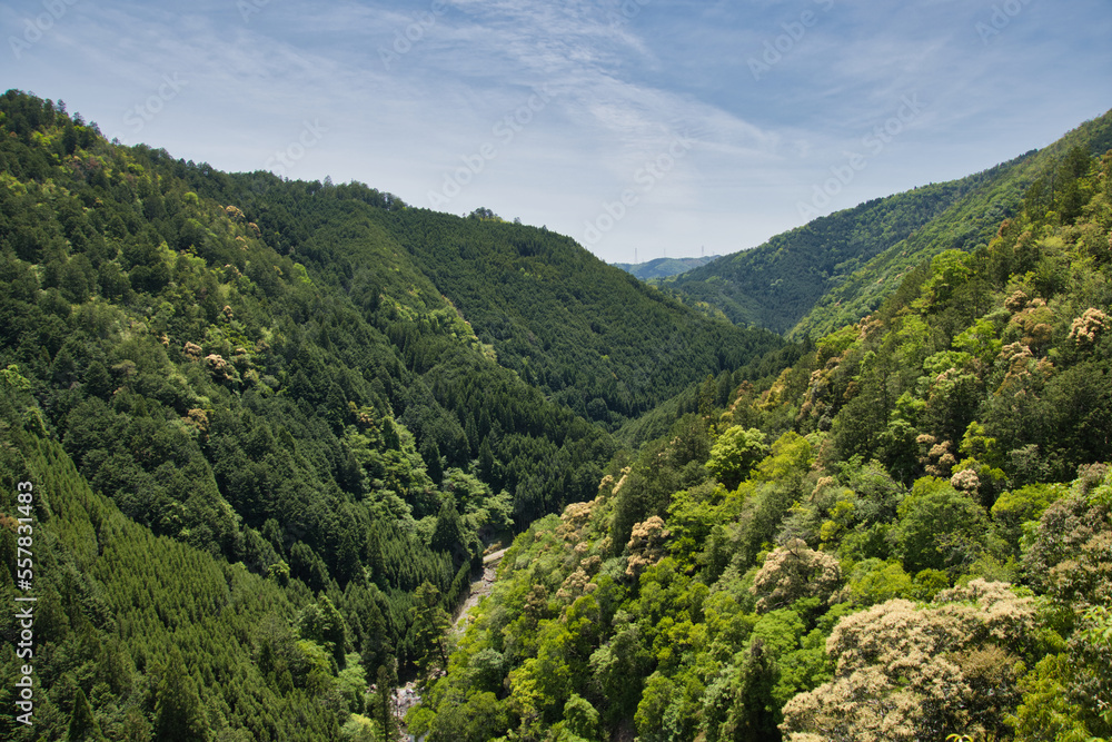 Naklejka premium A view of the valley where the Kiyotaki-River runs. Kyoto Japan 