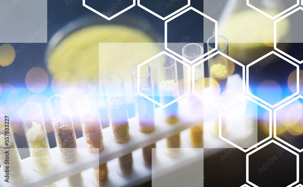 Fototapeta premium Research Analyzing Agricultural Grains And seeds In The Laboratory. Background with futuristic flare.
