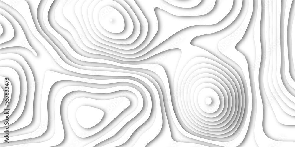Abstract white paper cut shapes background with shadow and topography map concept, texture. Abstract realistic Papercut decoration background. Abstract papercut wavy line background. Abstract white paper cut shapes background with shadow and topography map concept, texture. Abstract realistic Papercut decoration background. Abstract papercut wavy line background.