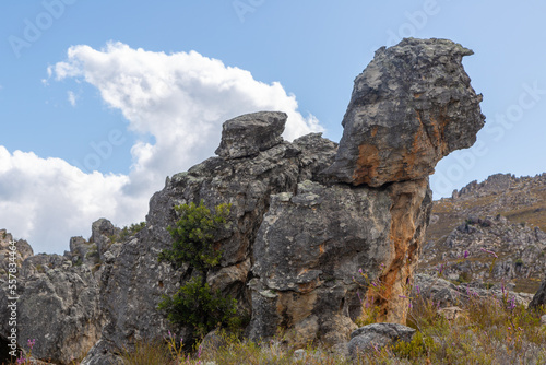 Rock formation looking like Donald Trump in the Western Cape of South Africa