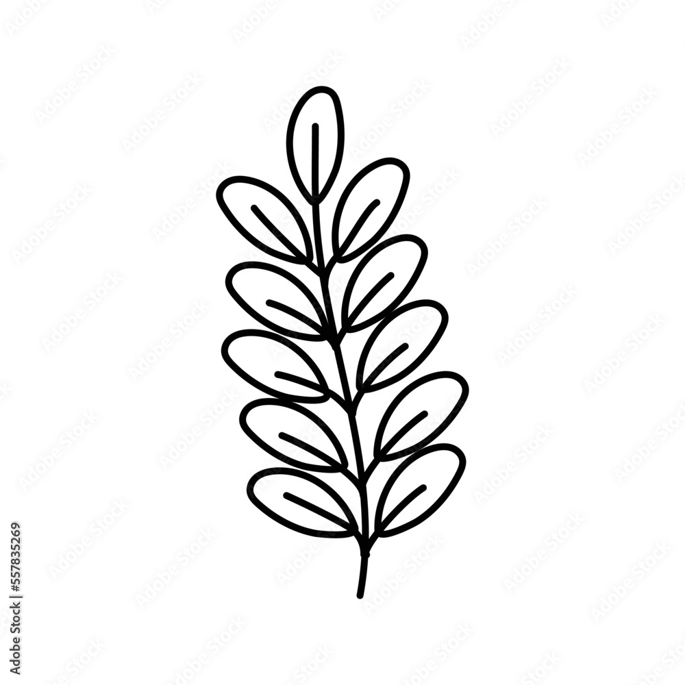 floral hand drawn illustration floral hand drawn illustration