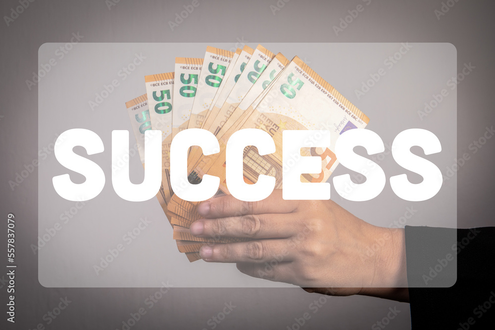 Success and profit concept. Euro money in a woman's hand Success and profit concept. Euro money in a woman's hand