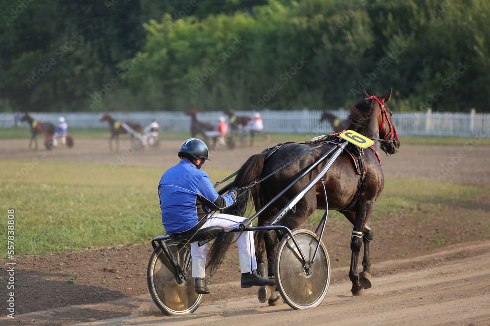 Horse racing in summer, Russia, Chuvash Republic Horse racing in summer, Russia, Chuvash Republic