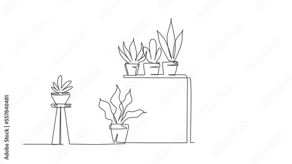 Self drawing animation of single line draw home garden, succulents, potted plants. Interior, table, stand for home plants. Seedlings of decorative tulips. Continuous line draw. Full length animated Self drawing animation of single line draw home garden, succulents, potted plants. Interior, table, stand for home plants. Seedlings of decorative tulips. Continuous line draw. Full length animated