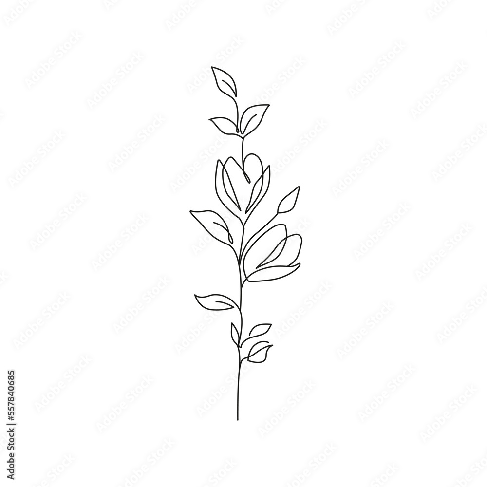 Fototapeta premium Continuous Line Drawing Of Plant Black Sketch of Flower Isolated on White Background. Flower One Line Illustration for Minimalist Design. Vector EPS 10.