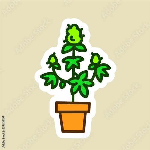 Cannabis Plant in Pot Gardening Marijuana Grower Package Sticker or T-shirt Design in Cartoon Graffiti Style Illustration.