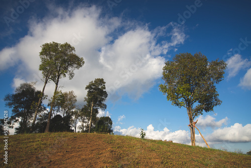 Hadubi village ,Doi Luang Chiangdao view point at Hadubi village ,Chiangmai ,Thailand photo