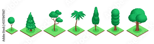 Isometric green trees 3d set for decoration. Vector illustration of isometric garden forest design, foliage of spring growth for game