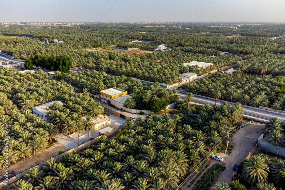 saudi-arabia-eastern-province-al-hofuf-aerial-view-of-al-ahsa-oasis