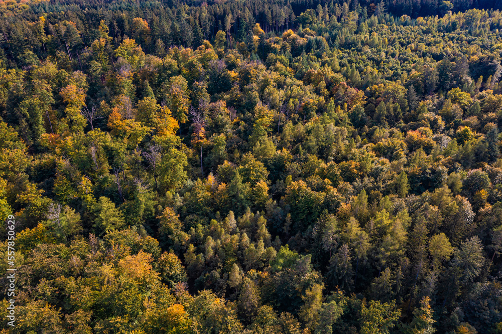 Aerial view of autumn forest in Schurwald range Aerial view of autumn forest in Schurwald range
