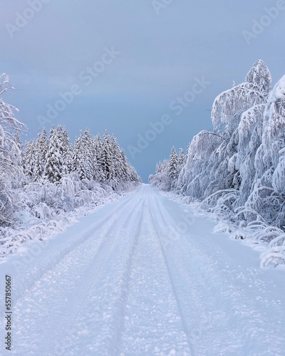 Bright snowy road and dark cloudy sky in northern Swedish winter © jojoo64