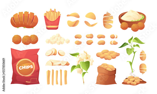 Cooked potato. Chips french fries baked boiled tuberous fast food vegetarian dish, vegetable garnish with sauces flat cartoon style. Vector colorful set of fried and baked cooking illustration