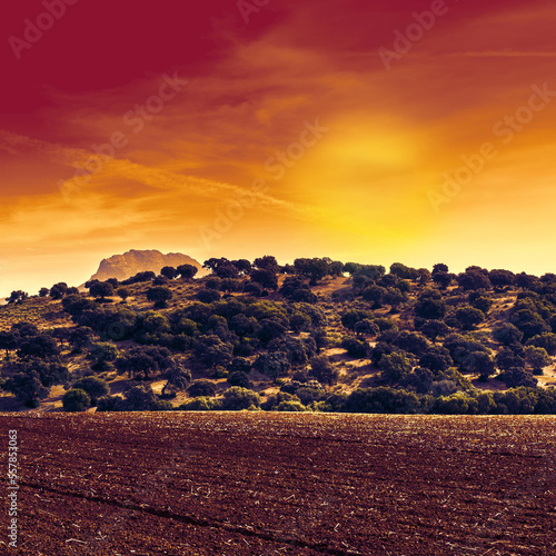 Mystic light above the fields