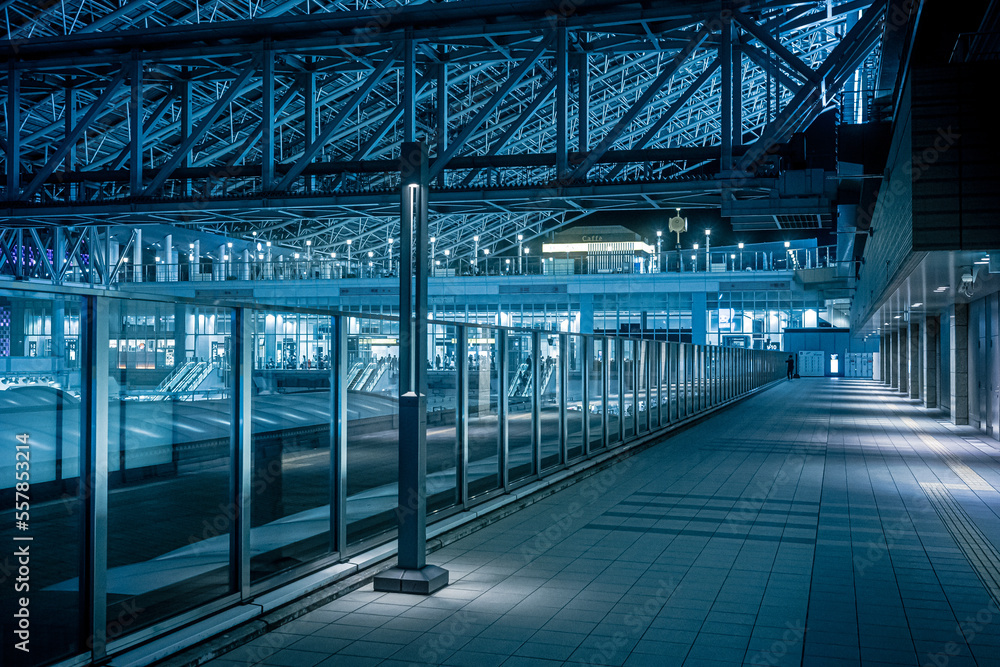 Naklejka premium Cyberpunk-like urban landscape in Japan