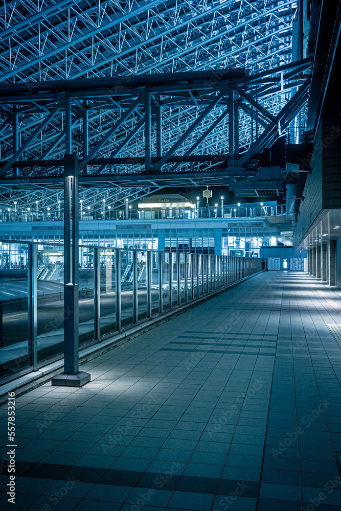 Cyberpunk-like urban landscape in Japan Cyberpunk-like urban landscape in Japan